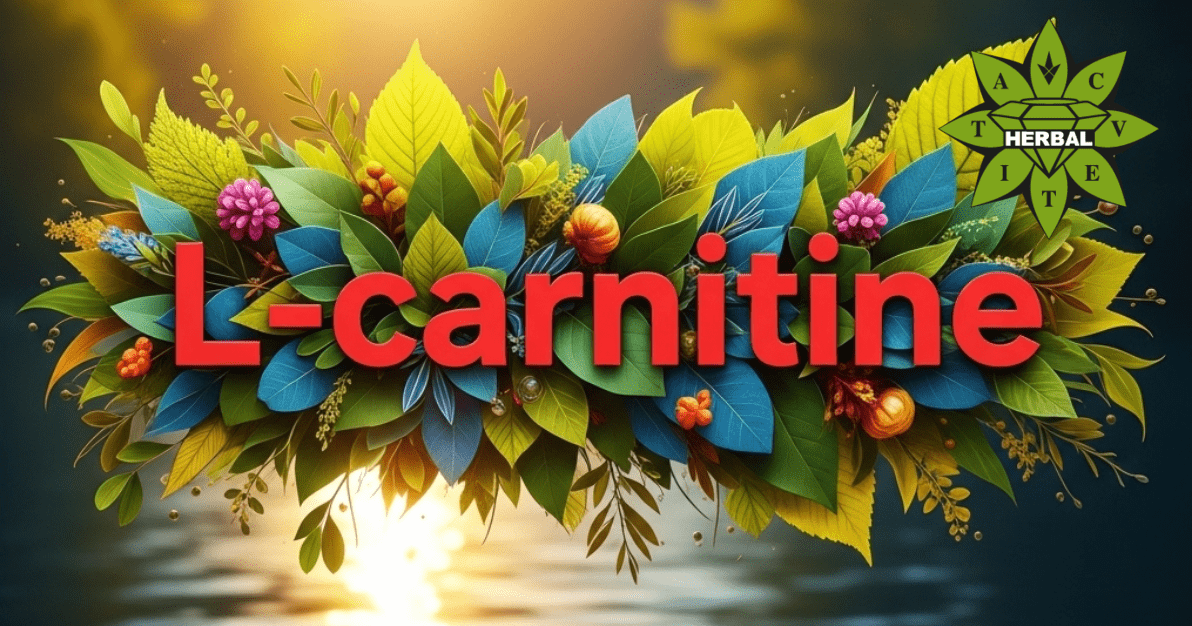 L-Carnitin - Vorteile und Heilende Eigenschaften