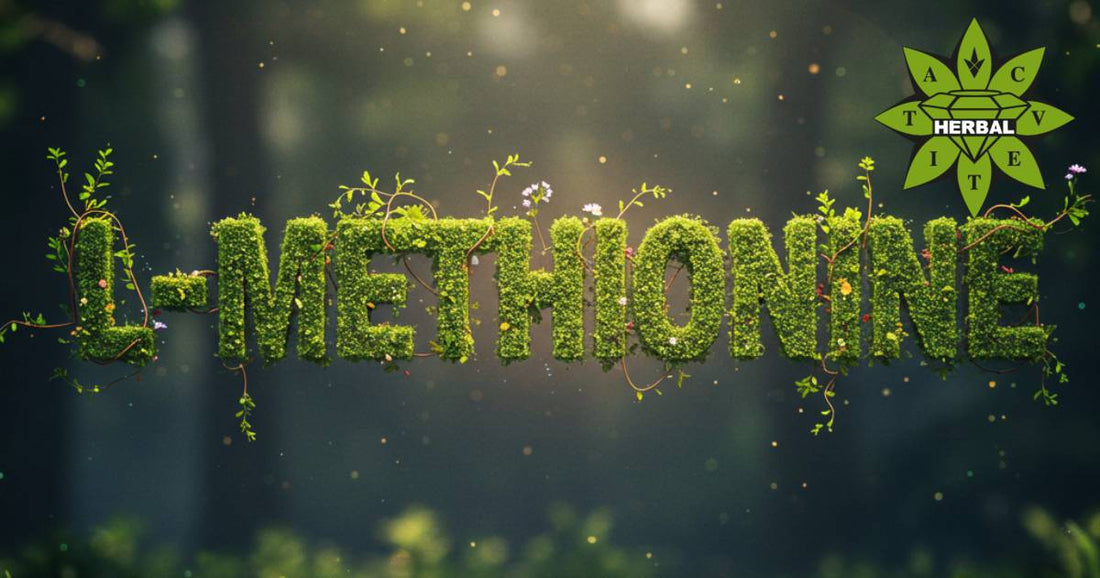 Methionin (L-Methionin) - Nutzen und Eigenschaften