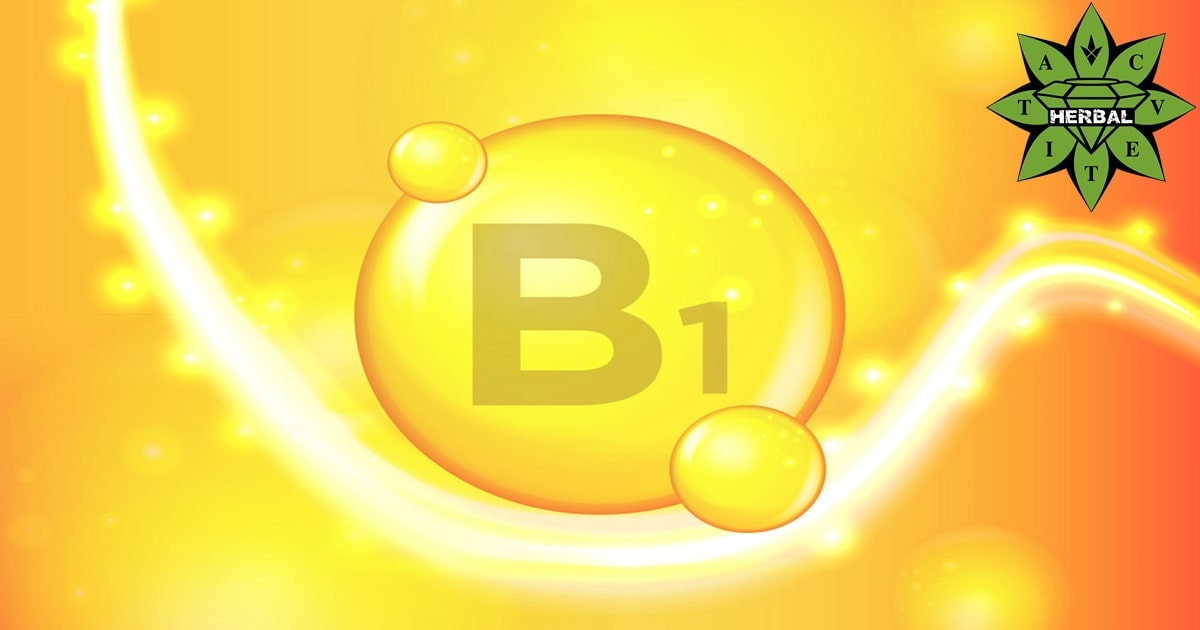 Vitamin B1 (Thiamin) - Nutzen und Heilende Eigenschaften
