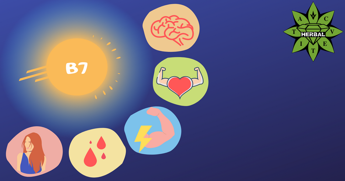 Vitamin B7 (Biotin)