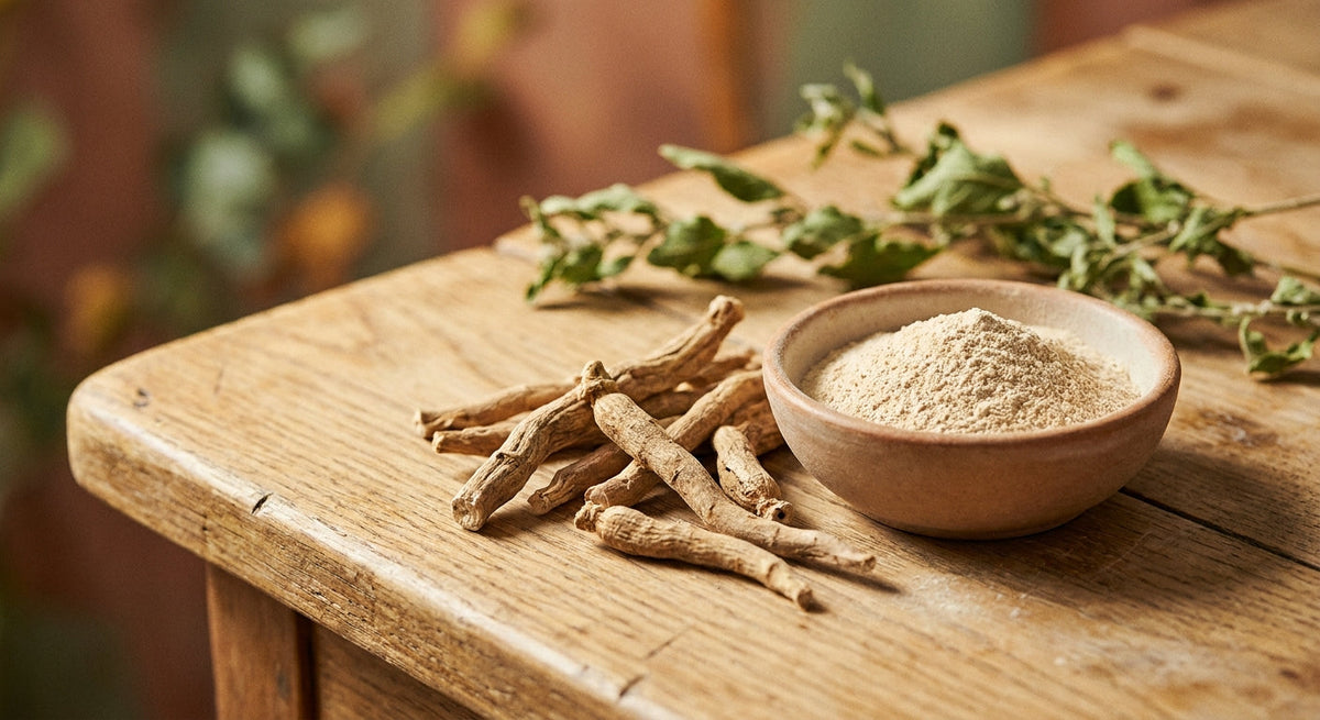 Ashwagandha-Wurzel und Kapseln – adaptogene Unterstützung bei Stress und Schlaf