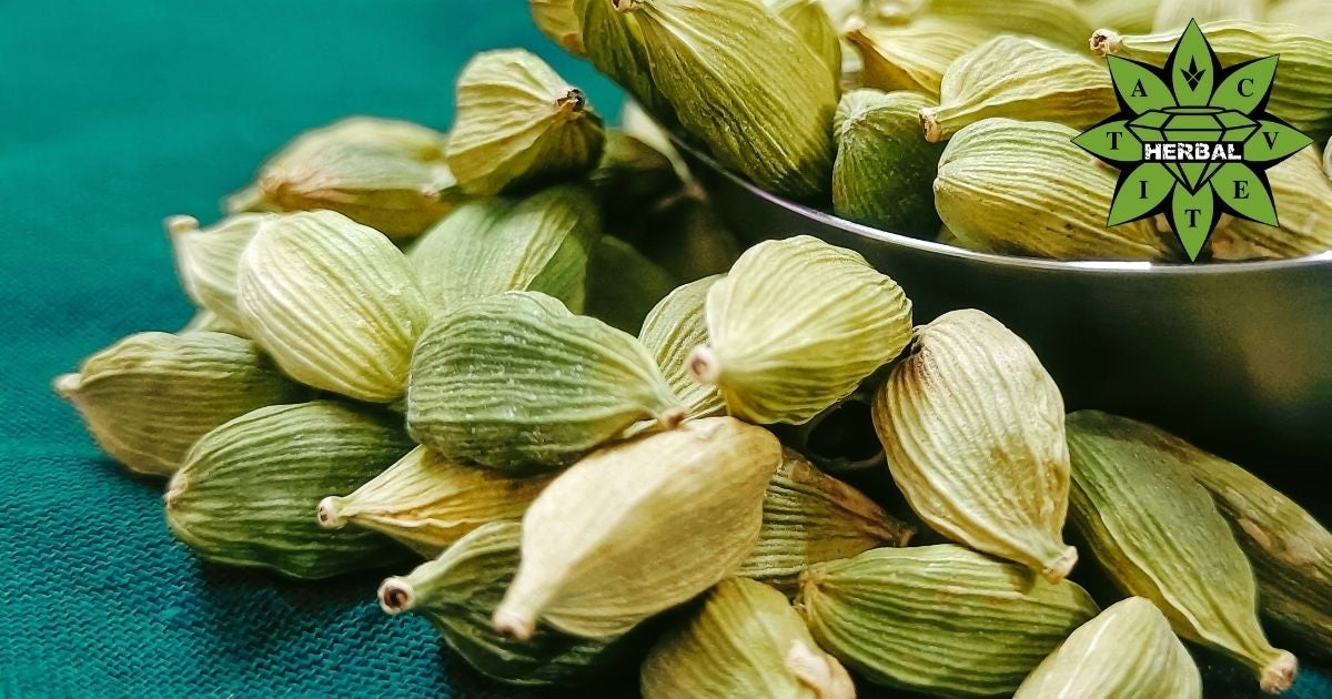 Kardamom (Königin der Gewürze, Cardamomum) - Nutzen und Heilende Eigenschaften