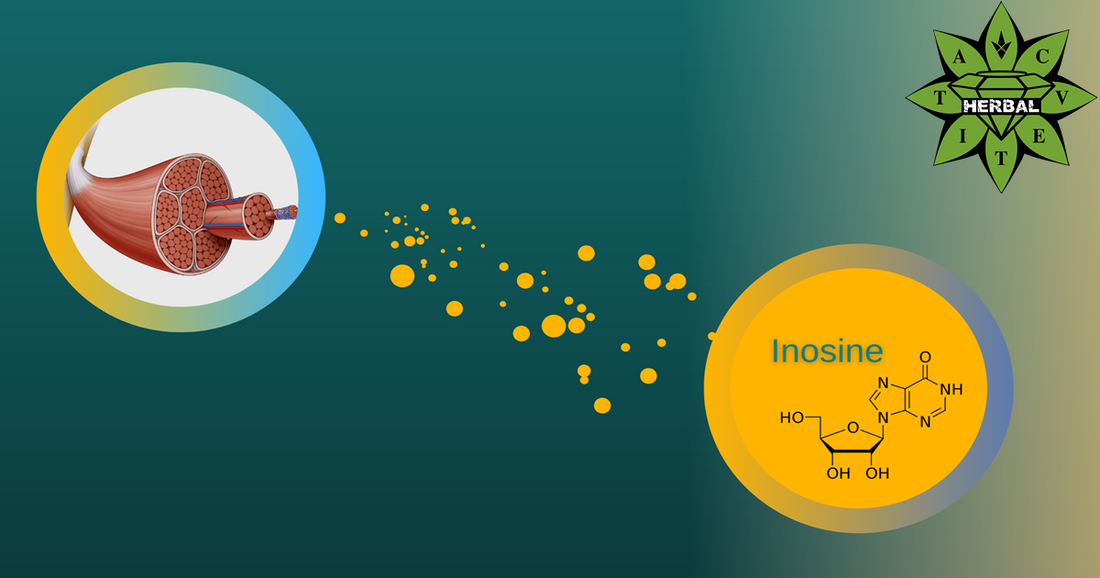 Inosin - Vorteile, Wirkung, Nebenwirkungen
