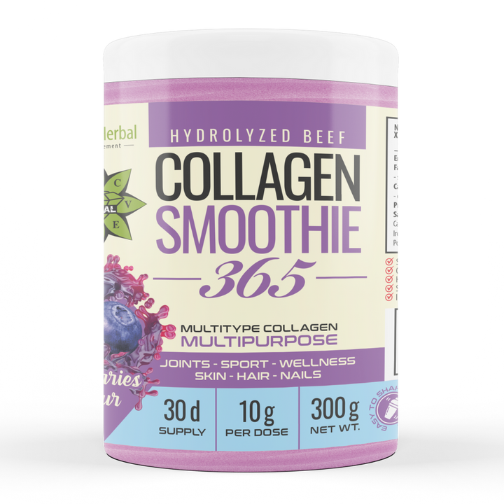 Kollagen Smoothie "Blaubeere" – Collagen Smoothie 365 (300 g)