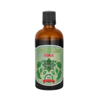 Ginkgo Biloba-Extrakt – Ginkgo Biloba Max (100 ml)